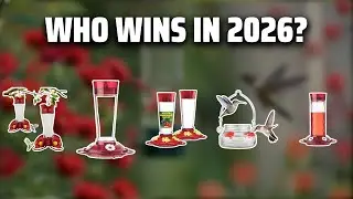 The Top 5 Best Hummingbird Feeders in 2026 - Must Watch Before Buying!