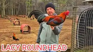 Juan Santos Lacy Roundhead Jeremy Chandler