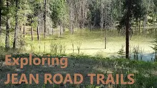Exploring Kelowna's Jean Road Trails