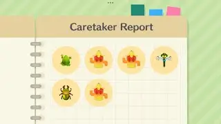 Collecting Tropical Sunset Gyroidites In Animal Crossing Pocket Camp