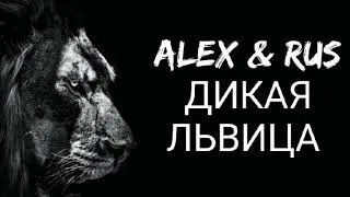 ALEX & RUS ДИКАЯ ЛЬВИЦА&nbsp;| Mp3 |DJ EDITZ