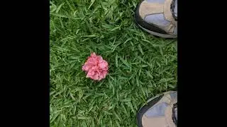 Rebecca Solnit. Pensar el caminar o caminar el pensamiento