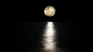 Night Ambience - Studying or Relaxing Piano and Sounds for Sleeping or Focusing