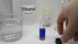 Cobalt Equilibrium