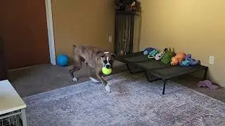 Little play before our walk