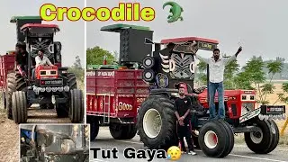 Chal Paye Mile Nu Crocodile 🐊 La k 🔥🐊| Eagle Da Lift Tapa Patt Gaya🤦🏻😥| Lucky Goldsmith