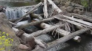 Past, Present, and Future of Whychus Creek Restoration