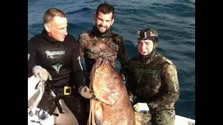 Spearfishing - 108lb Cubera Snapper in Key West, Florida