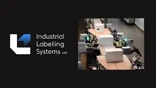 Tamp Applicator | D43 | Opposite Side Labelling | Print & Apply | Industrial Labelling Systems