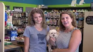 Pet Evolution - Daisy's Customer Experience