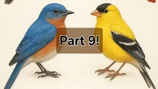 All 50 State Birds.  Part 9.