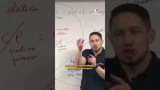 A INTENSIDADE do EXERC&Iacute;CIO e o PODER das CATECOLAMINAS nos SUBSTRATOS ENERG&Eacute;TICOS! VEJA AGORA