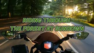 Forest Ride At Sundown KTM RC 125 (POV) 4K