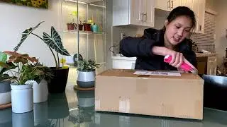 DOUBLE Plant Unboxing (feat. super expensive plant $$$)