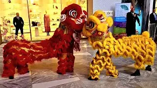 Traditional Chinese Lion Dance and more | Lunar New Year 🐉Rain, Hudson Yards, High Line NYC LIVE