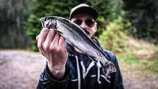 J'ai MÉRITÉ ces truites! | 12 heures de pêche en lac au printemps | Pêche à la truite.