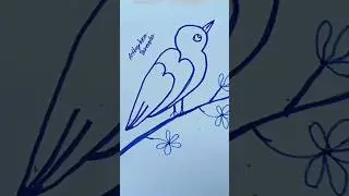 January 16, 2026 How to Draw a Bird Super Easy! 🐤