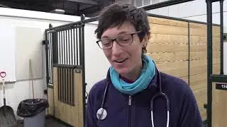 Saskatoon vet students get a crash course in sled dogs