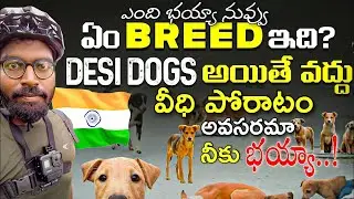 @Dog Traveller Vardhan అవసరమా భయ్యా నీకు | Your ambition is great brother