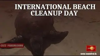 International beach cleanup day today, what of Lankan beaches?