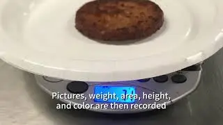 Standardized methods for Meat Analogs