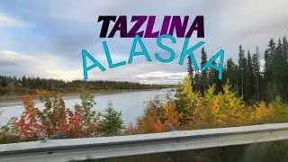 Tazlina, #Alaska #summer