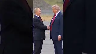 Body language expert Judi James revealed the hidden meanings behind Trump and Putin's handshakes