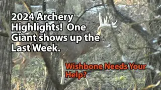 2024 Best Buck Encounters