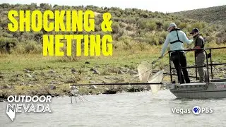 Рыбалка с высоковольтным оборудованием на водохранилище Уолл-Каньон | Outdoor Nevada