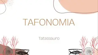 Tafonomia pt. 1