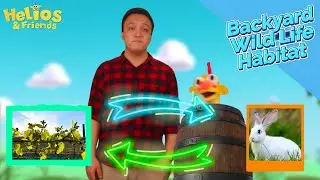 How Plants Help Animals | Backyard Wildlife Habitat with Miguel & Helios
