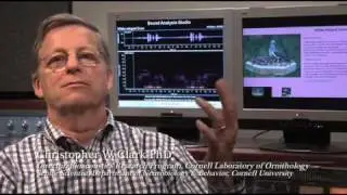 Chris Clark | Historical Perspectives Interview Excerpt | Aquatic Mammals Journal