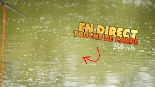 Touche en Direct - Peche au Baby Corn ! Carpe au coup