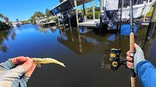 CRACKING the Tidal River Code! (Snook, Redfish & Speckled Trout)
