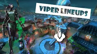 Pearl Viper Lineups (A Site Post Plant)