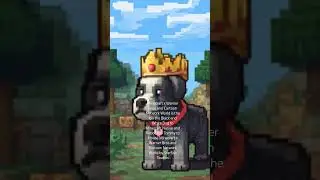 #DreamScreenAI New Minecraft x Warner Bros and Cartoon Network World Isis Dog to Minecraft Native
