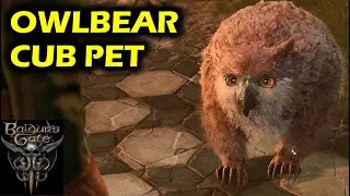 Owlbear Cub Pet (Kill vs Let it Live) | Baldur's Gate 3