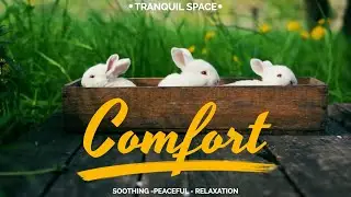 Tranquil Space - Relaxing with Animals - 2 hours soothing instrumental music feat. beautiful animals