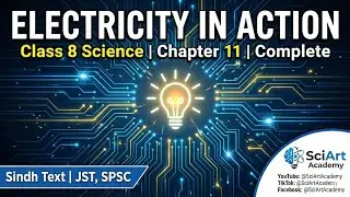 Class 8 Science|Chapter 11|Electricity in Action|Complete| Sindh text|JST,SPSC | 8th Class Science