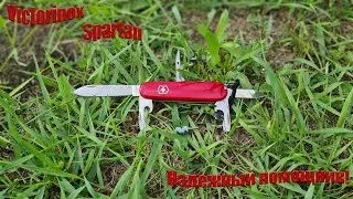 Опыт использования ножа Victorinox Spartan