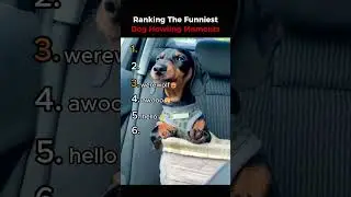 Ranking The Best Dog Howling Moments