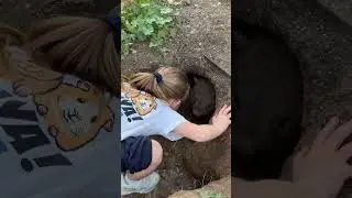 My daughter, the wombat whisperer, is AMAZING 🥰 #wildliferescue #wombat