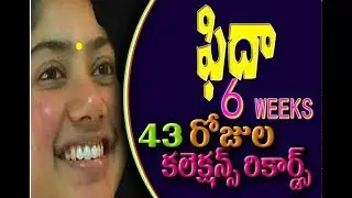 Fidaa 43 days collections|Fidaa box office collections|Fidaa 6 weeks collections review