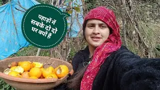 पहाड़ों में हम सबके दो दो घर क्यों हैं ? || Pahadi lifestyle vlog || @JyotiPahadii 