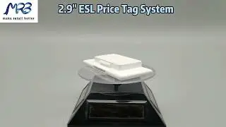 2.9 inch ESL Price Tag System