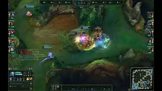 Hmmmm bug sandwich