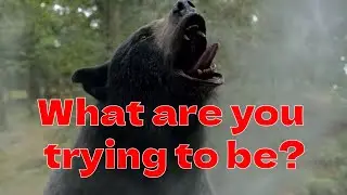 Cocaine Bear 2023 Explained: Spoiler Review