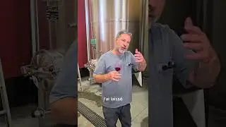 D&eacute;gustation cuve syrah cinsault grenache