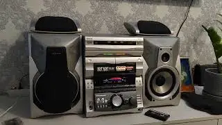 Sony rx 99