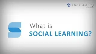 What is social learning?